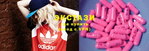 индика Ельня