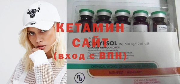 индика Ельня