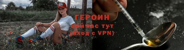 индика Ельня
