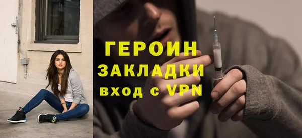индика Ельня
