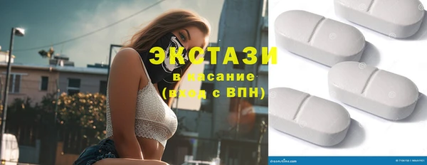 индика Ельня