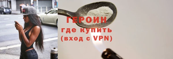 индика Ельня