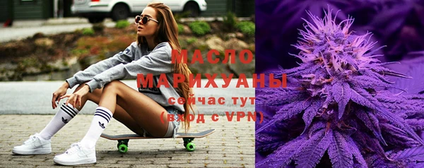индика Ельня