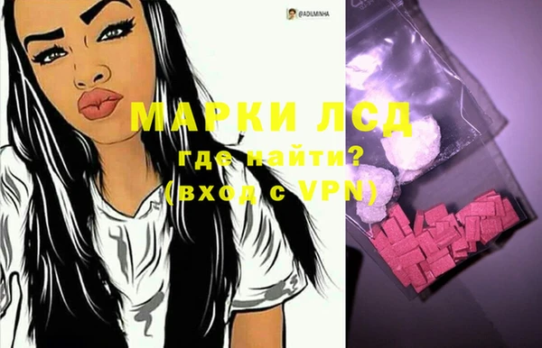 индика Ельня