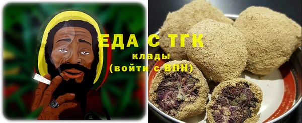 индика Ельня