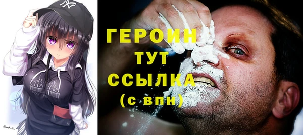 индика Ельня