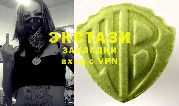индика Ельня