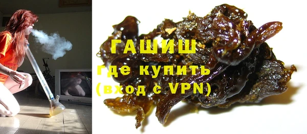 индика Ельня