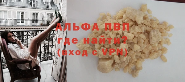 индика Ельня