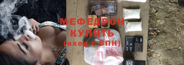 индика Ельня