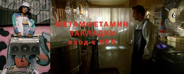 индика Ельня