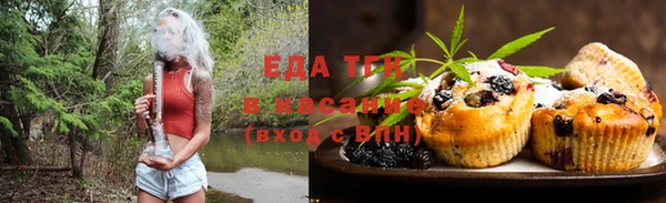 индика Ельня