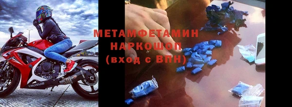 индика Ельня