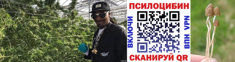 Псилоцибиновые грибы прущие грибы  как найти закладки  даркнет телеграм  Островной 